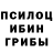 Псилоцибиновые грибы Psilocybine cubensis Frey David