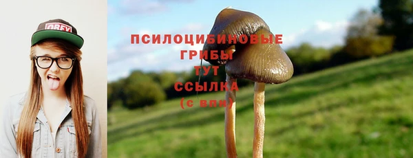 героин Алексин