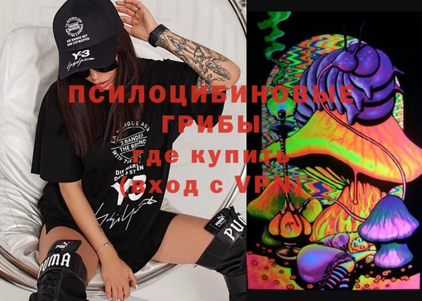 прущие грибы Заводоуковск