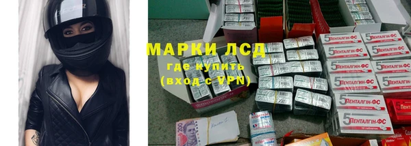 эйфоретик Алзамай
